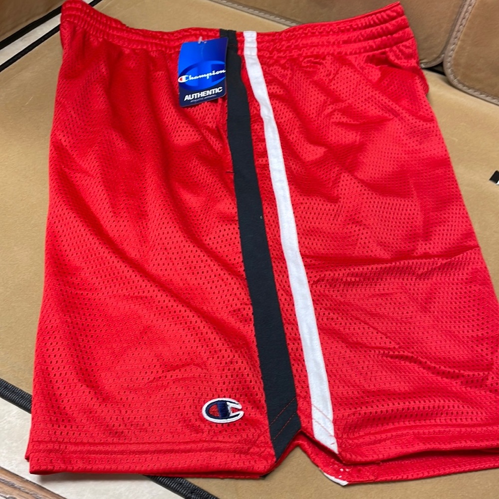 Champion basketball mesh shorts